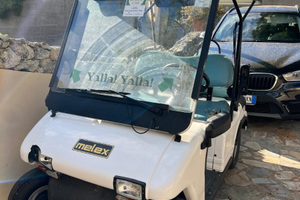 Buggy elettrica golf car