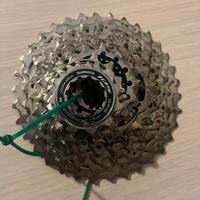 Pacco pignoni 12v 11-34