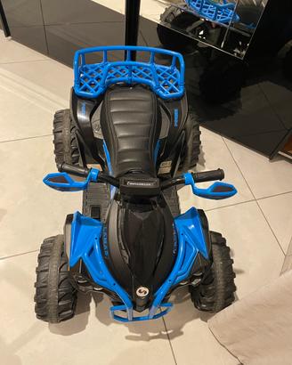 Quad elettrico