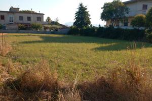 Terreno edificabile