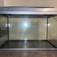 Acquario 50 litri con filtro e riscaldatore
