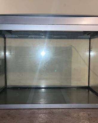 Acquario 50 litri con filtro e riscaldatore