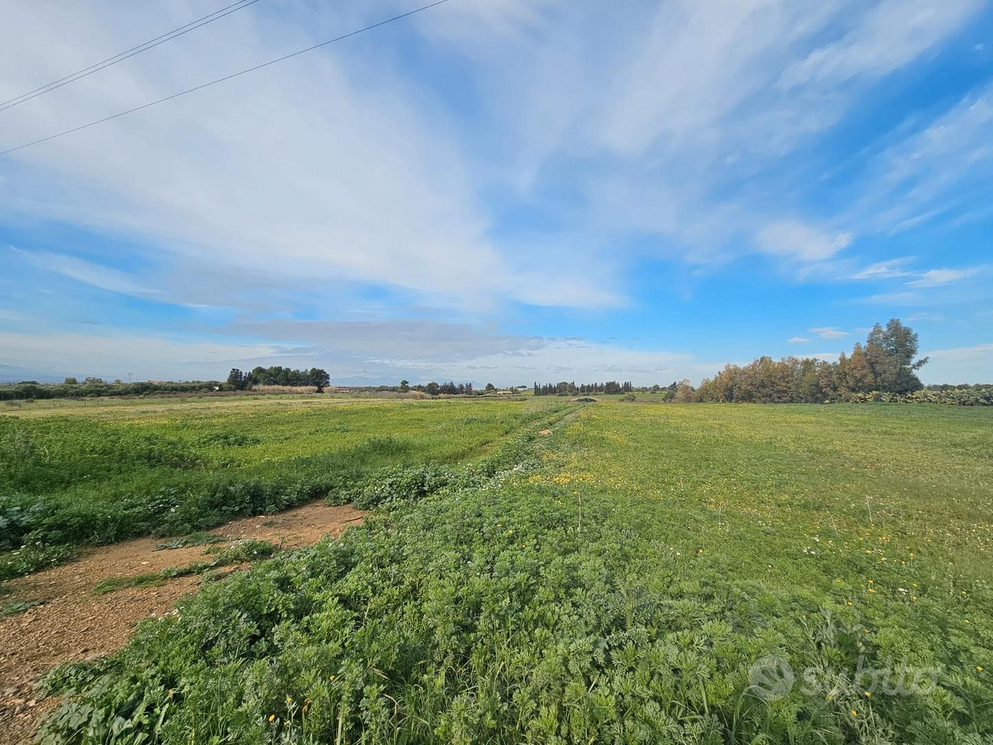 Terreno Agricolo - Vista 4