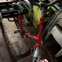 Bicicletta a tre ruote triciclo