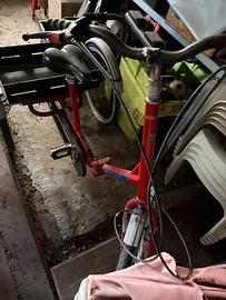 Bicicletta a tre ruote triciclo