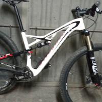 specialized full 29"