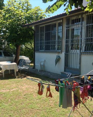 Lido delle Nazioni, Libero dal 23 Agosto in poi
