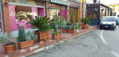 Negozio di alimentari chiavi in mano