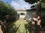 Immagine 23