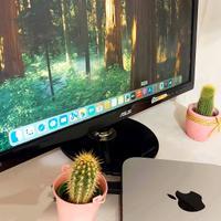 Mac Mini 2012 i7 2.3 16GB RAM 250GB SSD Computer