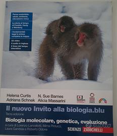 libri liceo scientifico 
