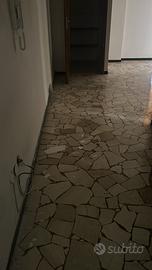 Appartamento centro trino