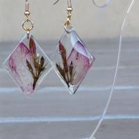 Orecchini Frammenti di orchidee