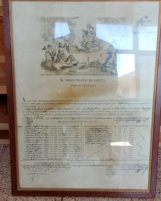Antico Documento Storico Genova "Il Magistrato di