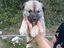 Immagine 1