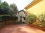 Immagine 15