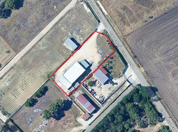 Capannone commerciale barone003756