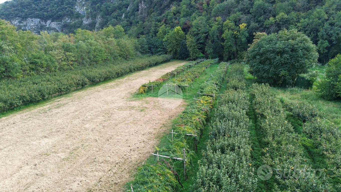 TER. AGRICOLO A CONCESIO - Vista 5