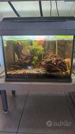 acquario 20 lt