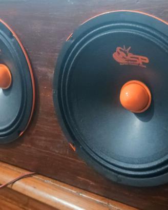 SP audio SP-EM6.5 midrange