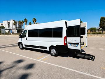 9 Posti Trasporto Disabili Fiat Ducato Maxi