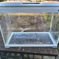 acquario 50l