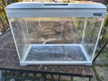 acquario 50l
