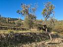 terreno-con-progetto-approvato-villa-unifamiliare