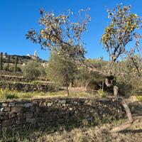 Terreno con progetto approvato Villa Unifamiliare