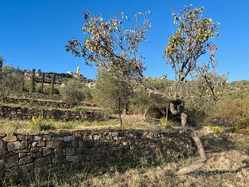 Terreno con progetto approvato Villa Unifamiliare
