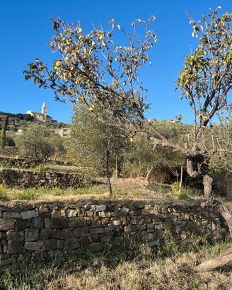 Terreno con progetto approvato Villa Unifamiliare