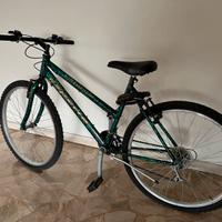 Bicicletta mountain bike per ragazzo/ragazza