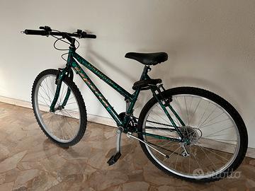 Bicicletta mountain bike per ragazzo/ragazza