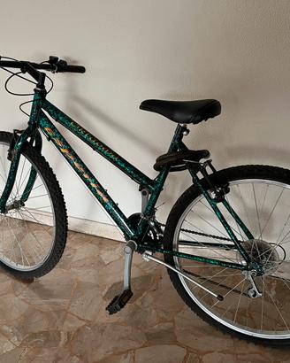 Bicicletta mountain bike per ragazzo/ragazza