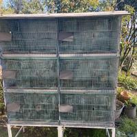 Voliera per volatili