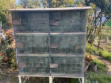 Voliera per volatili