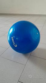 Palla fitness yoga allenamento