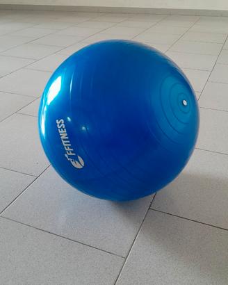 Palla fitness yoga allenamento