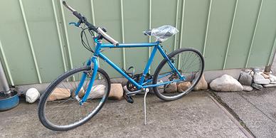 Bicicletta 26 azzurra