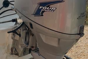 Motore fuoribordo honda 40 hp