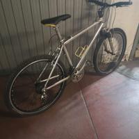 Mountain bike telaio in alluminio