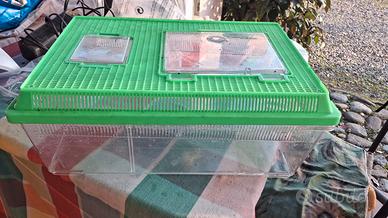 Terrario per tartarughe