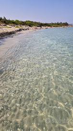 Salento bilocale a pochi passi dal mare