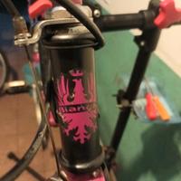 telaio BIANCHI RAGNO 