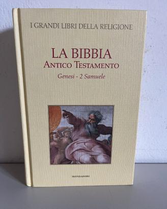 La Bibbia Antico Testamento Genesi 2 Samuele