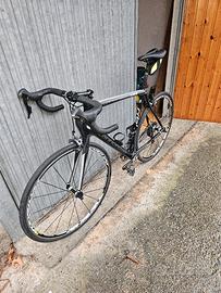 cannondale synapse carbon Ultegra 