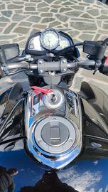 B KING 1340 cc / Suzuki Hayabusa 