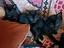 Immagine 1