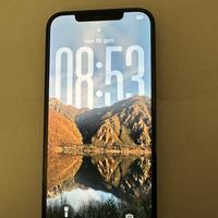 iPhone 12Pro Max 256 gb