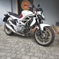 SUZUKI GLADIUS 650 - 2011